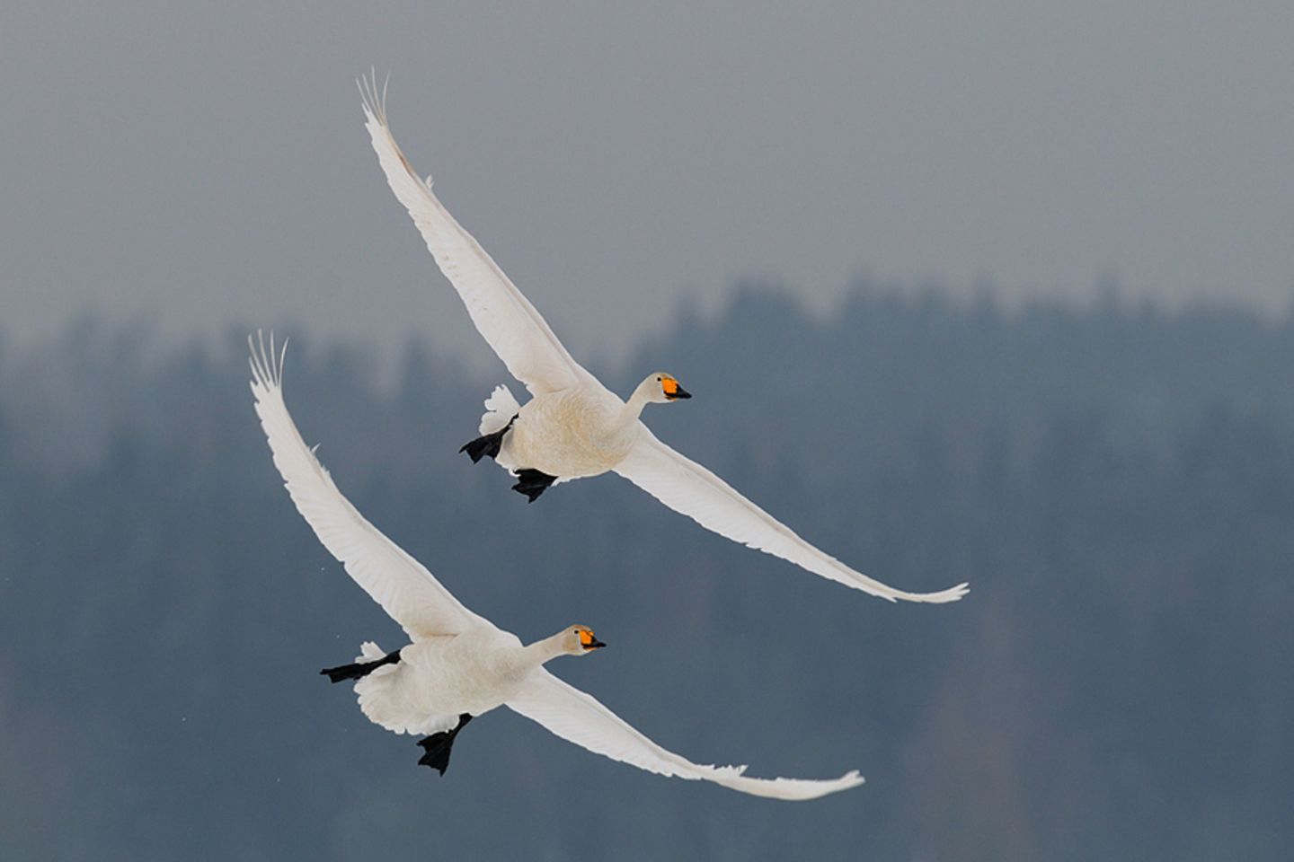 Fotogalerie: Fotogalerie: Naturschätze Europas - Bild 9