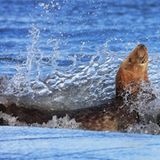 Fotogalerie: Fotogalerie: Naturschätze Europas - Bild 10