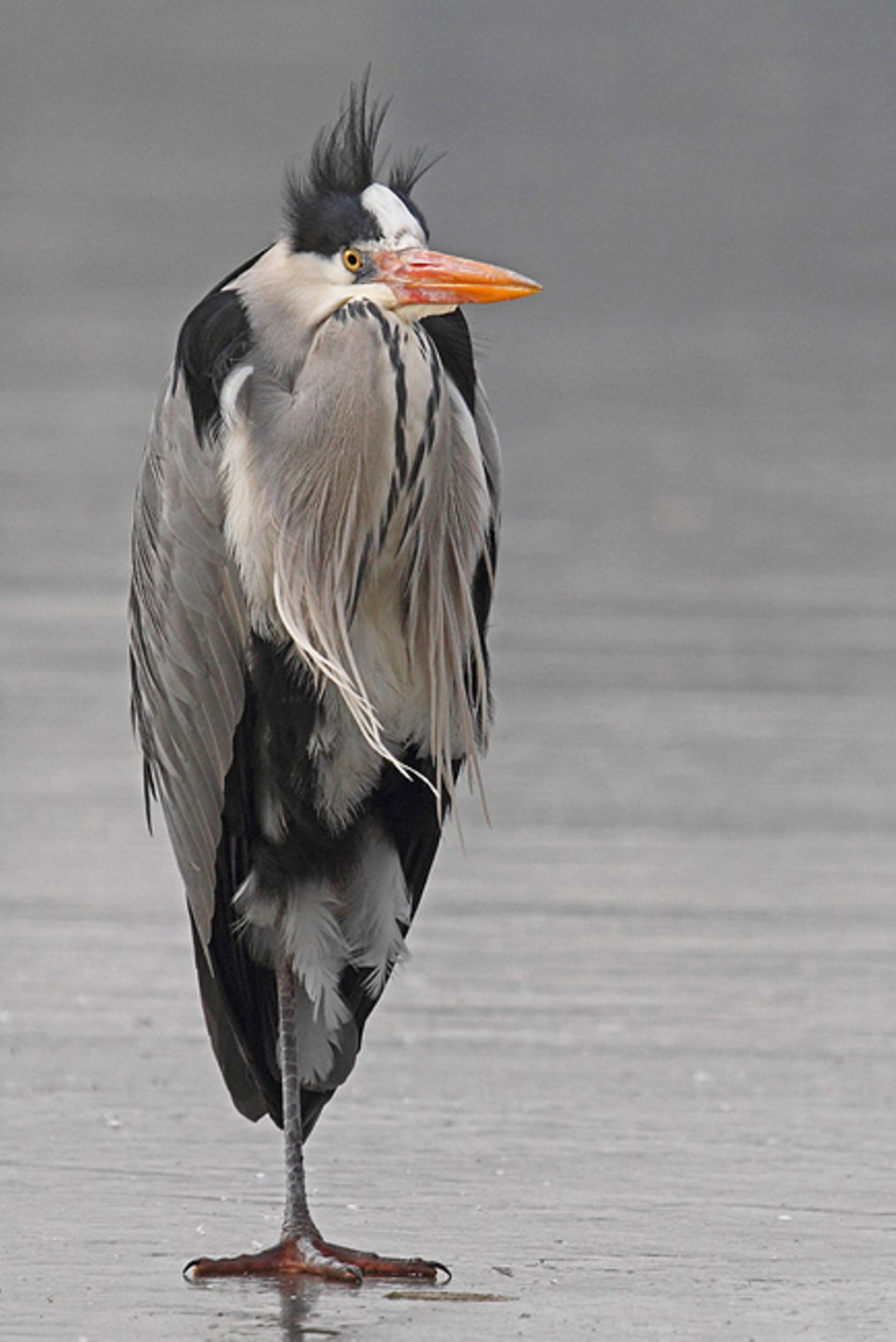 Fotogalerie: Fotogalerie: Naturschätze Europas - Bild 13