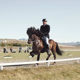 Fotogalerie: Reitturnier in Island - Bild 10