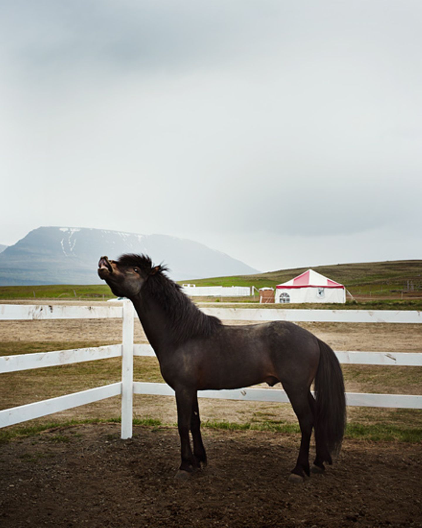 Fotogalerie: GEO Special Island - Bild 11