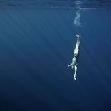 Fotogalerie: Fotogalerie: Apnoetauchen - Bild 2