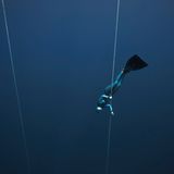 Fotogalerie: Fotogalerie: Apnoetauchen - Bild 4