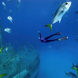 Fotogalerie: Fotogalerie: Apnoetauchen - Bild 8