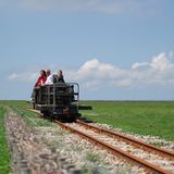 Fotogalerie: Seeschwalben - Bild 2