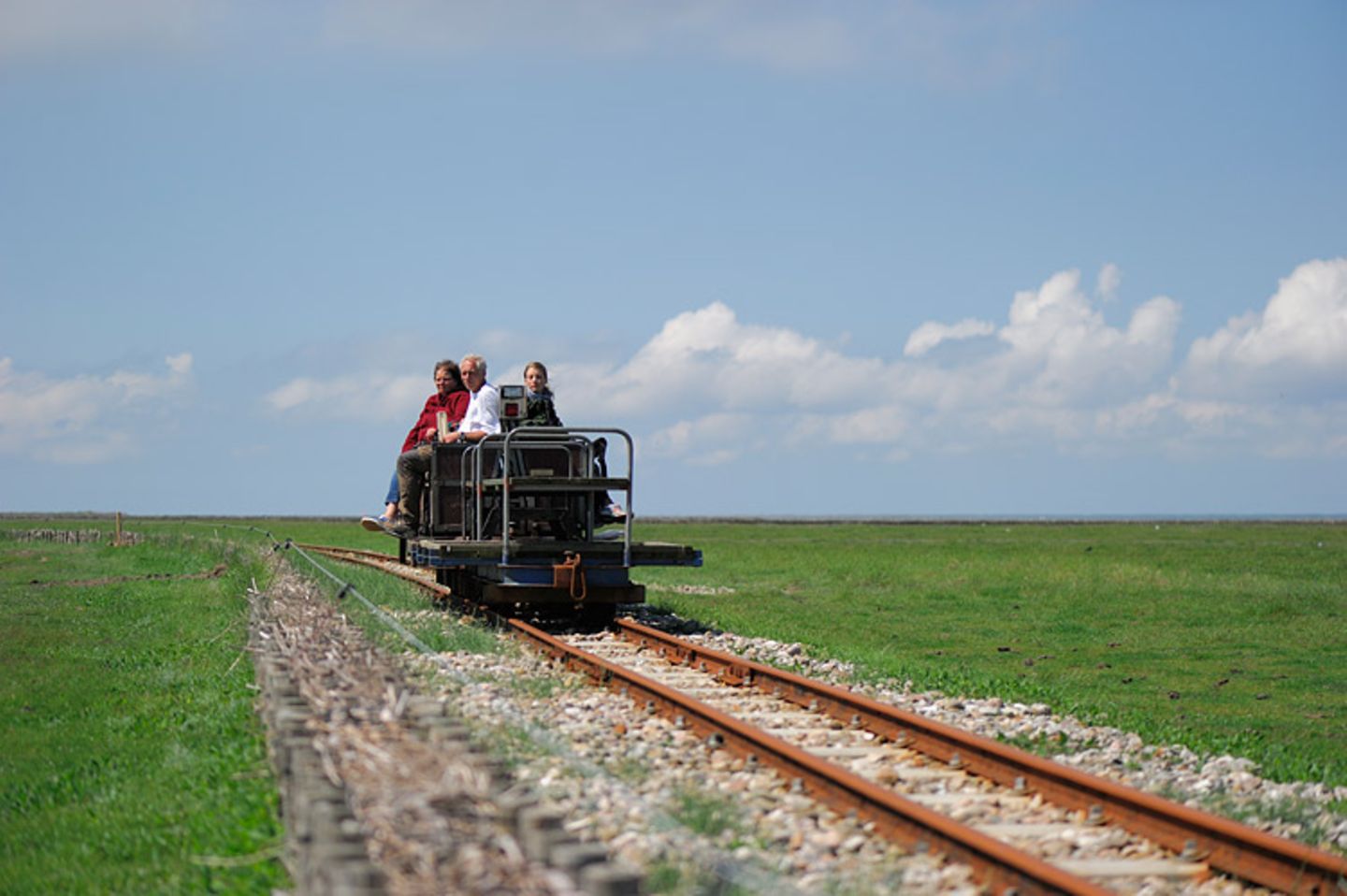 Fotogalerie: Seeschwalben - Bild 2 Fotogalerie: Seeschwalben - Bild 2