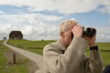 Fotogalerie: Seeschwalben - Bild 3
