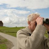 Fotogalerie: Seeschwalben - Bild 3