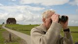 Fotogalerie: Seeschwalben - Bild 3