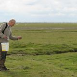 Fotogalerie: Seeschwalben - Bild 4