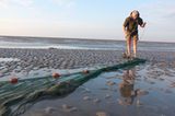 Fotogalerie: Seeschwalben - Bild 11