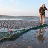 Fotogalerie: Seeschwalben - Bild 11