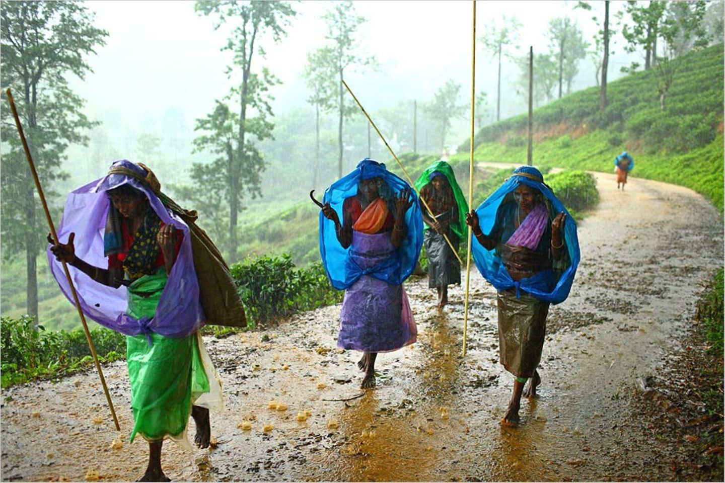 Bangladesch: Bilder der Tapfersten - Bild 2
