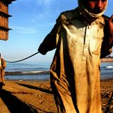 Bangladesch: Bilder der Tapfersten - Bild 8