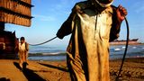 Bangladesch: Bilder der Tapfersten - Bild 8