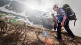 Mit 2000 Schafen über die Alpen