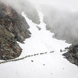 Mit 2000 Schafen über die Alpen - Bild 6