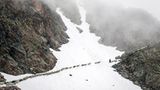 Mit 2000 Schafen über die Alpen - Bild 6