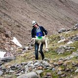 Mit 2000 Schafen über die Alpen - Bild 12