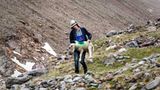 Mit 2000 Schafen über die Alpen - Bild 12