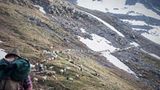 Mit 2000 Schafen über die Alpen - Bild 16