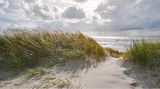 Nordseeküste