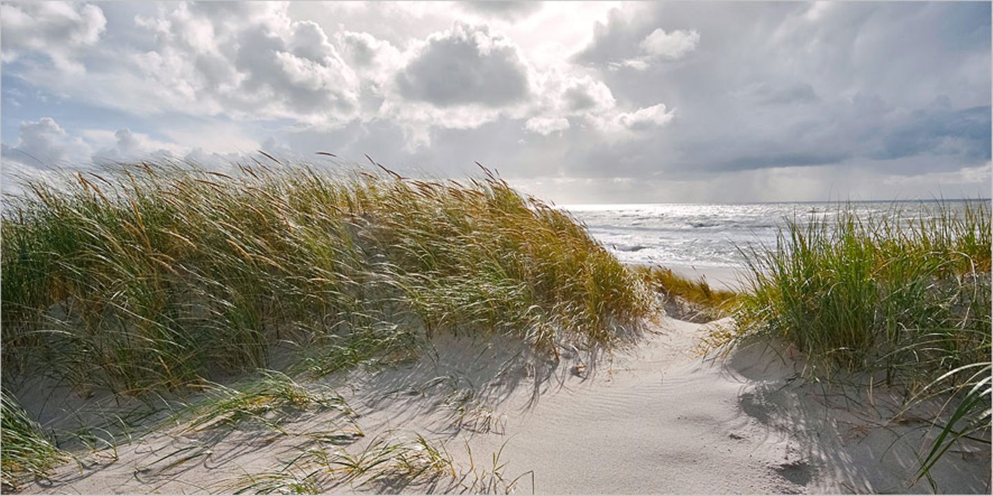 Nordseeküste