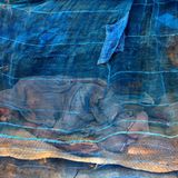 Fotogalerie: Bilder der Tapfersten - Bild 3