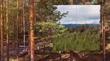Treehotel, in Harads, Schweden