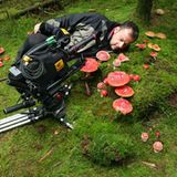 Kinotipp: "Das grüne Wunder - Unser Wald": Interview und Fotogalerie - Bild 10