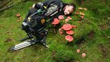 Kinotipp: "Das grüne Wunder - Unser Wald": Interview und Fotogalerie - Bild 10