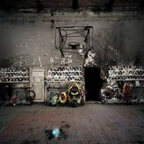 Nordseetien-Alanien, 2008