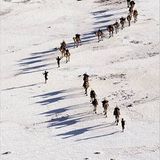 Touristische Begegnungen: Bitte anklopfen: Tourismus und indigene Völker - Bild 2