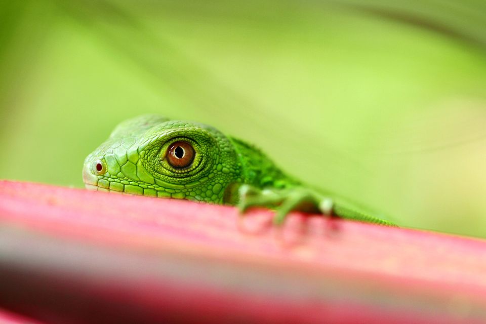 Leserfoto des Tages: Oktober 2012