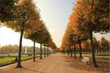Herbstspaziergang