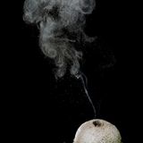 Fotogalerie: Die wundersame Welt der Pilze - Bild 15