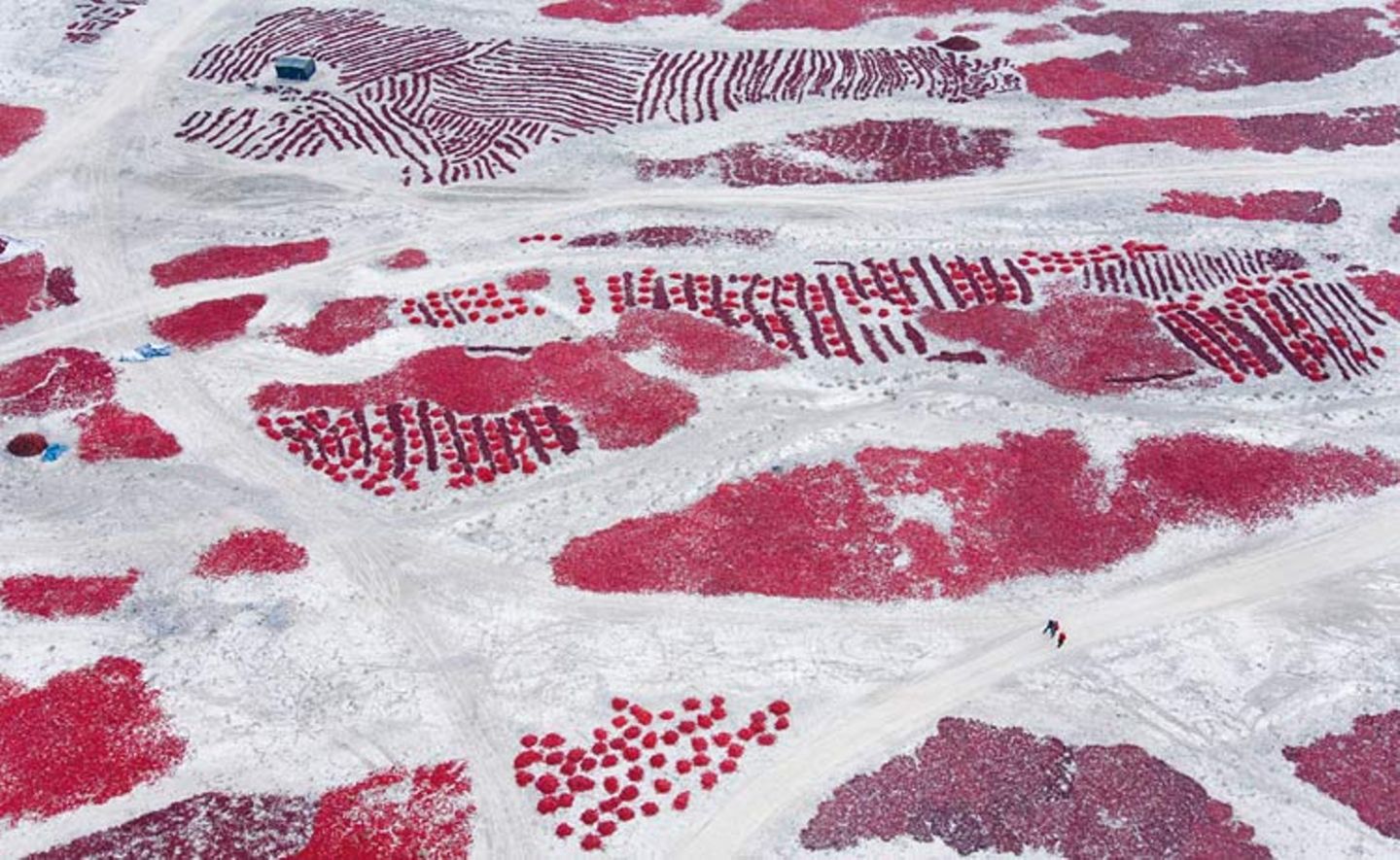 Wüsten von oben - Bild 6