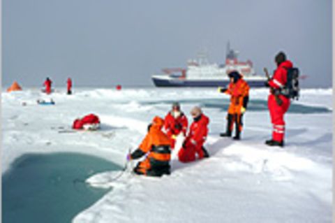 Fotogalerie: Eisbrecher-Expedition in die Arktis