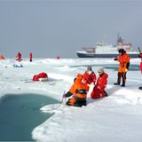 Fotogalerie: Eisbrecher-Expedition in die Arktis