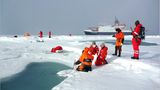 Fotogalerie: Eisbrecher-Expedition in die Arktis