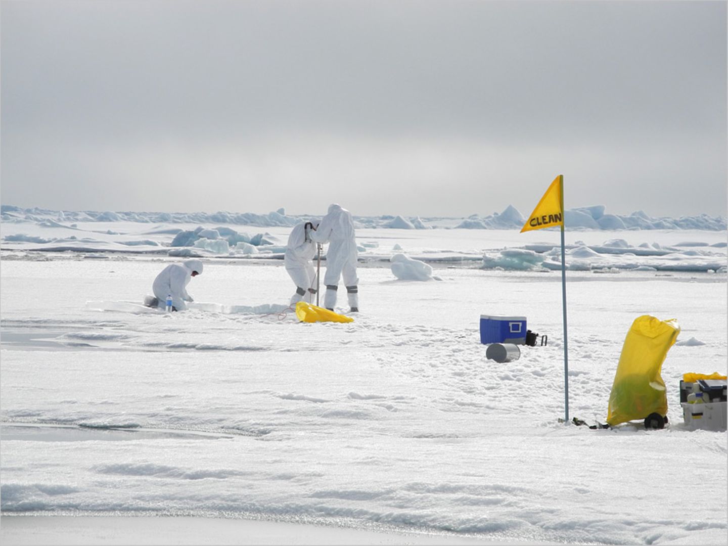 Fotogalerie: Eisbrecher-Expedition in die Arktis - Bild 2