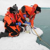 Fotogalerie: Eisbrecher-Expedition in die Arktis - Bild 9