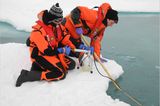 Fotogalerie: Eisbrecher-Expedition in die Arktis - Bild 9