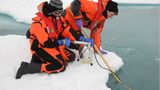 Fotogalerie: Eisbrecher-Expedition in die Arktis - Bild 9