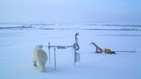 Fotogalerie: Eisbrecher-Expedition in die Arktis - Bild 10