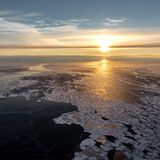 Fotogalerie: Eisbrecher-Expedition in die Arktis - Bild 12