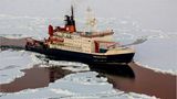 Fotogalerie: Eisbrecher-Expedition in die Arktis - Bild 17