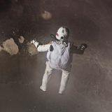 Rekordsprung: Rekordsprung vom Rande des Weltalls - Bild 7