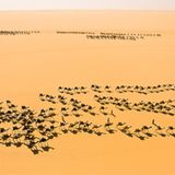 Fotogalerie: Wüsten von oben - Bild 2