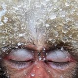 Fotogalerie: Die besten Naturfotografien 2012
